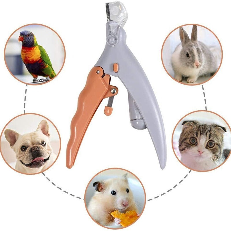Professional LED - lit pet nail clippers for cats and dogs. Toe - claw cutting tool, pet supplies.