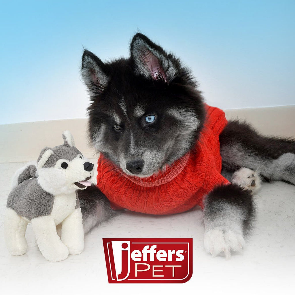 Jeffers Animal Cuddlers Plush Squeaky Dog Toys